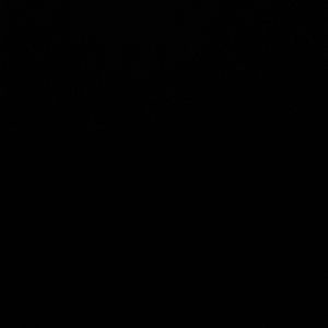 Meet your Posher, Adrianna